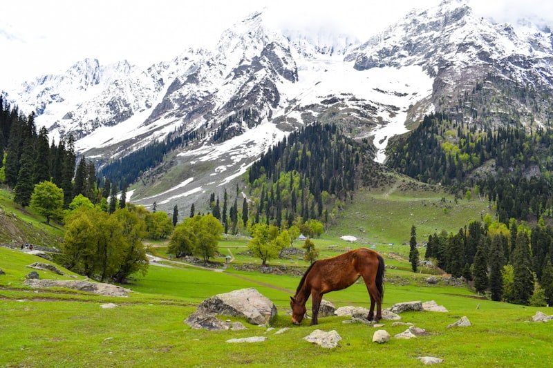 Srinagar Kashmir tour package