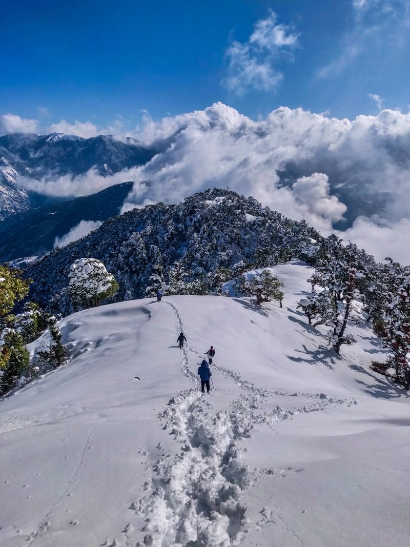 Gulmarg Kashmir tour package