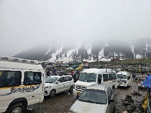 Golden Bird Travels place picture