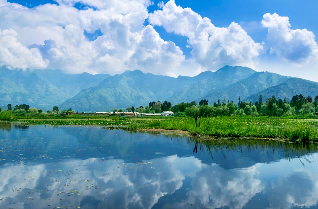 dal lake srinagar kashmir golden bird travels