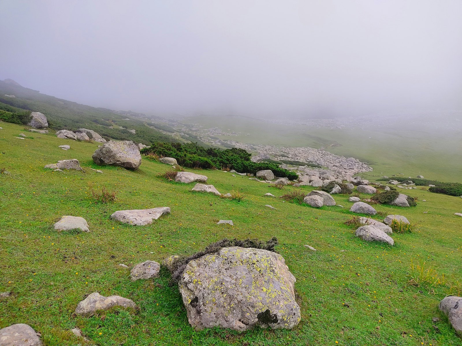 Doodhpathri meadow – one of the best places to visit in Kashmir