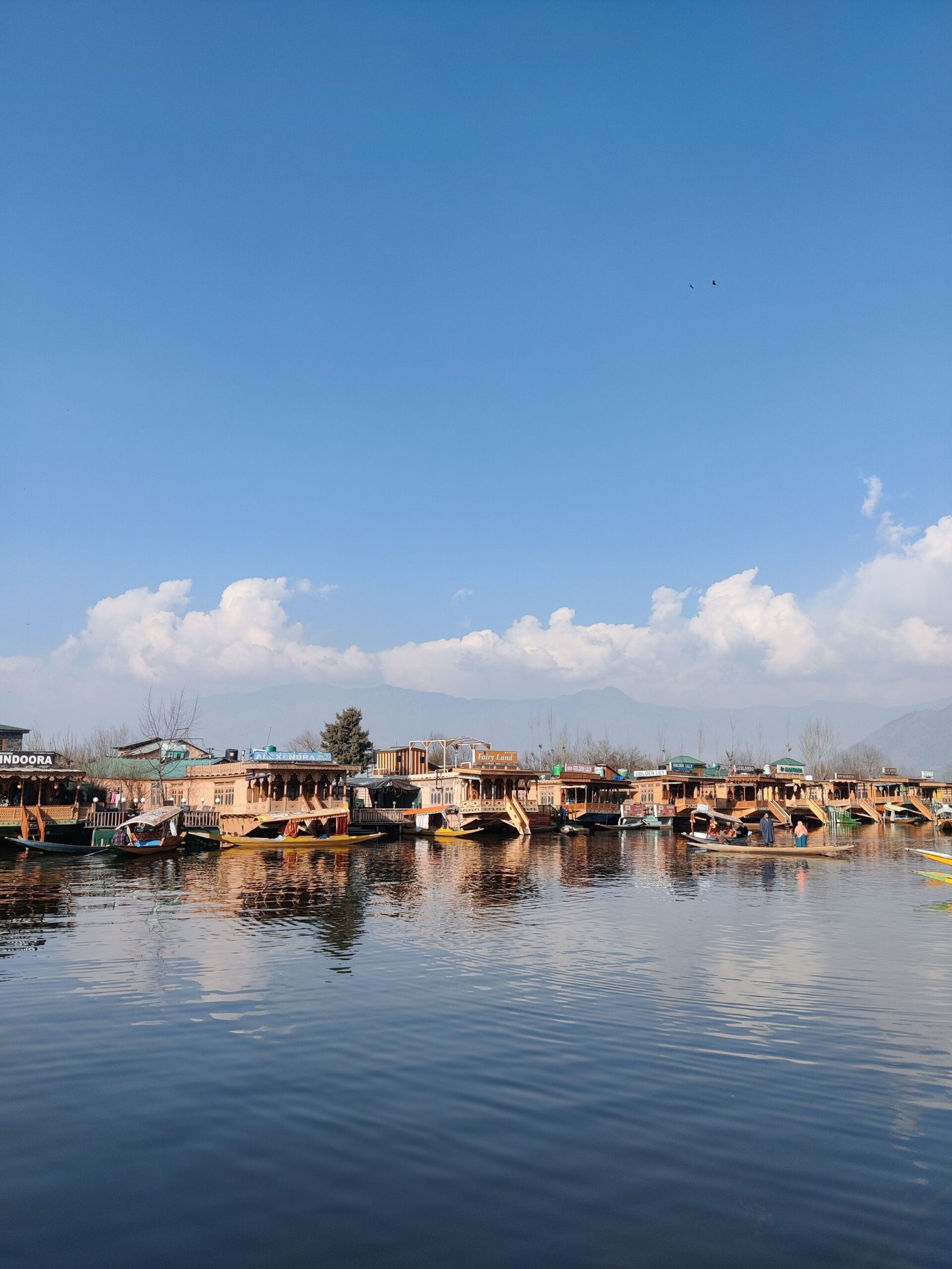 Houseboat stay on Dal Lake Srinagar Kashmir