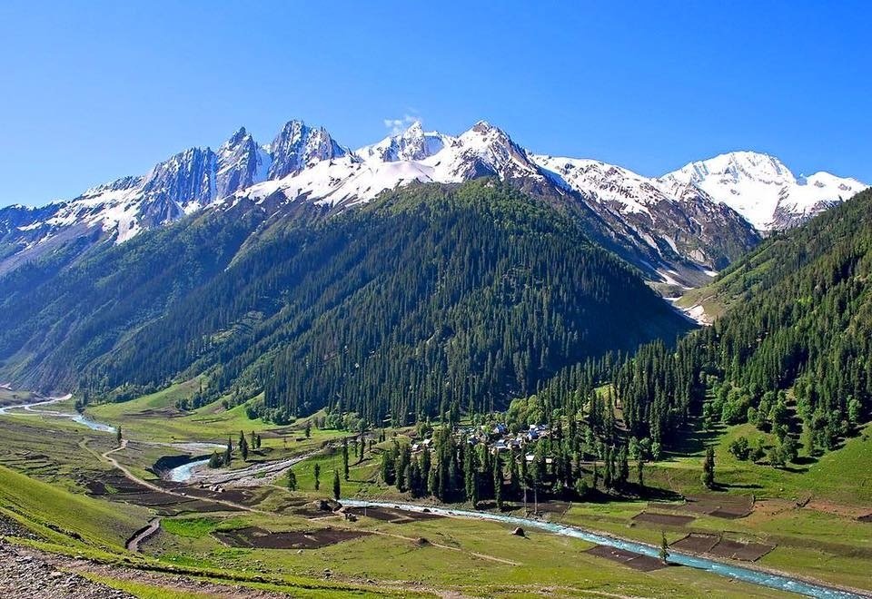 Sonamarg Kashmir meadow and Himalayan mountain scenery