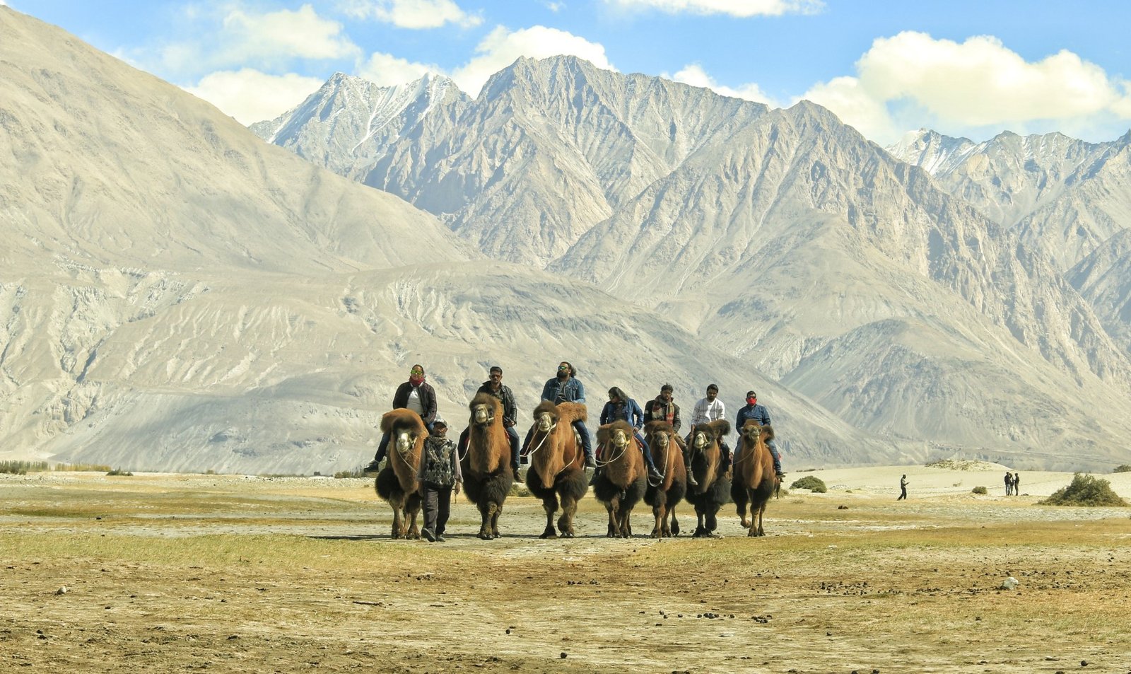 Things to do in Ladakh including a Bactrian camel ride in Hunder Nubra Valley