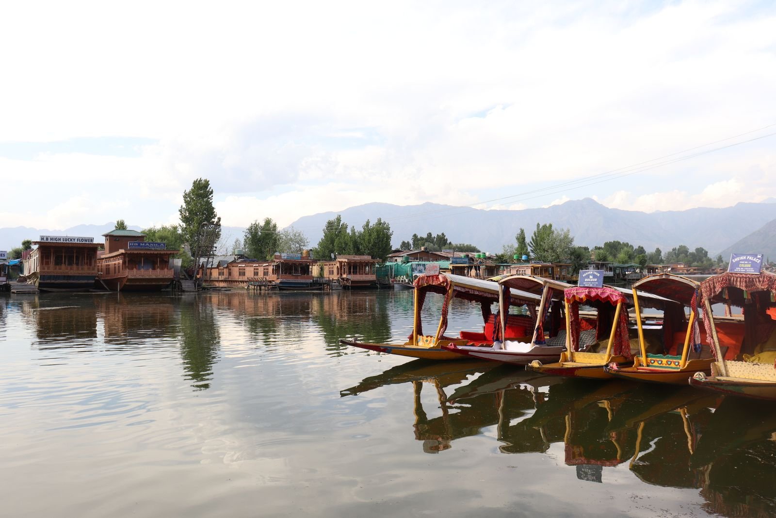 15 Best Things to Do in Kashmir - Shikara boats on Dal Lake in Srinagar