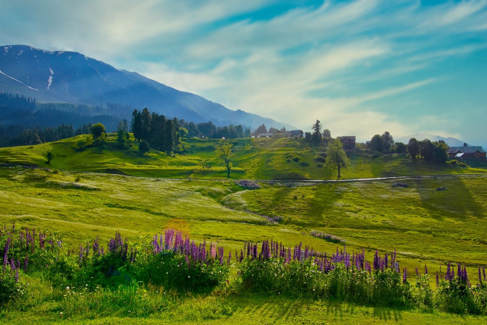 Gulmarg Gondola and mountain scenery in Kashmir