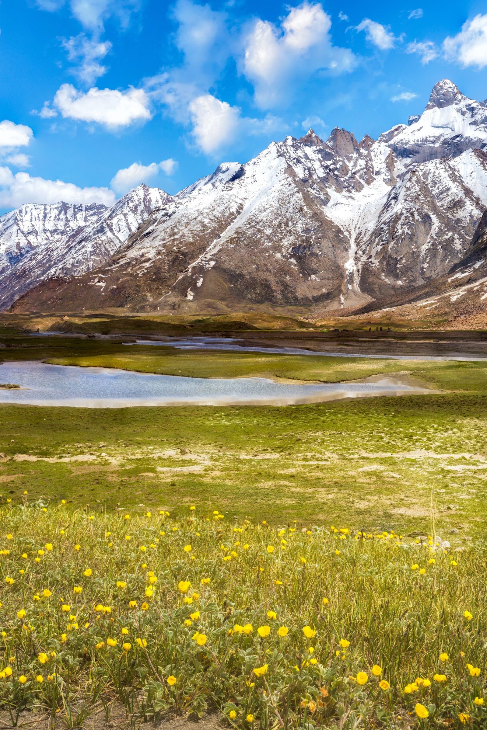Ladakh in March with spring meadow and snow-capped mountains