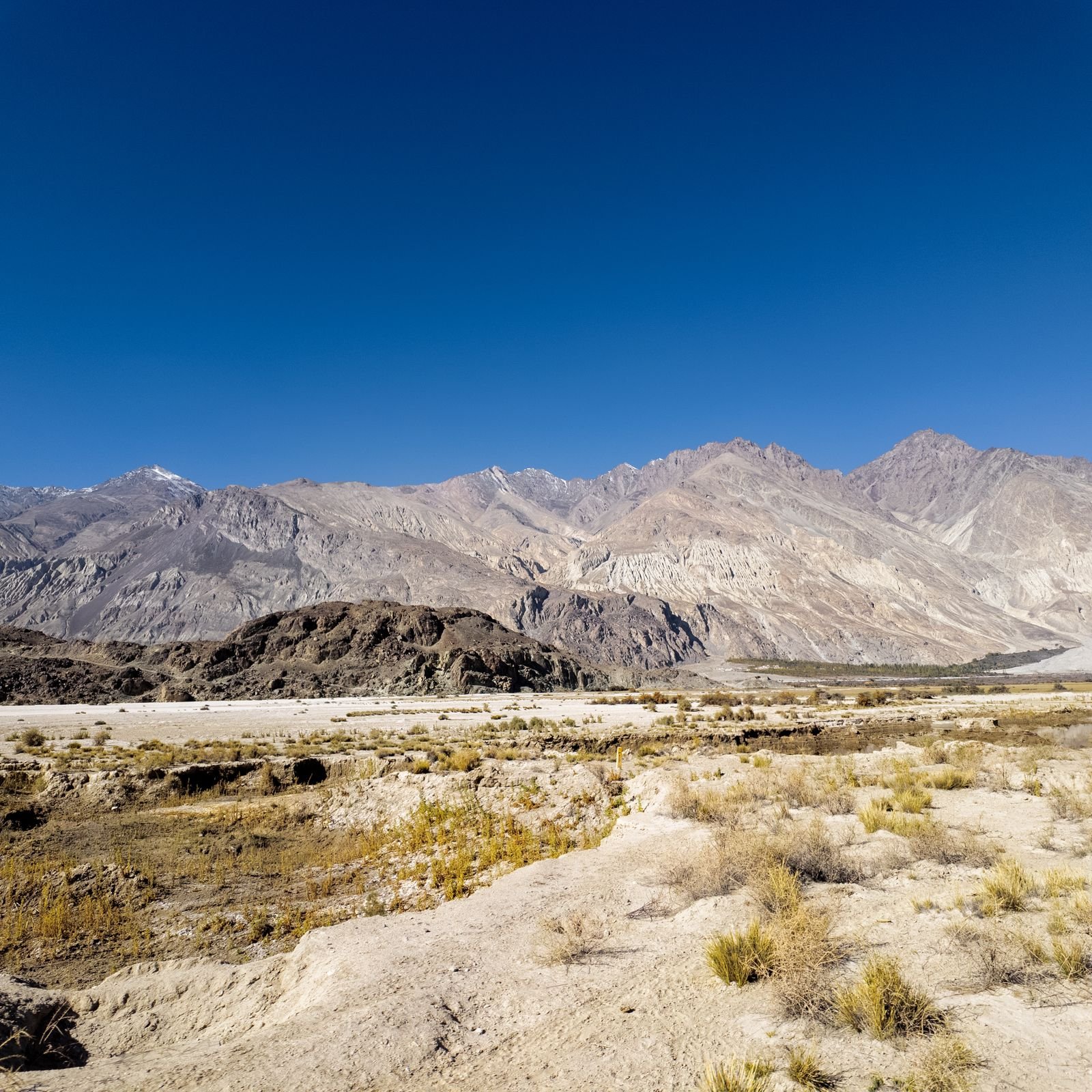 Nubra Valley Ladakh trip cost and scenic mountain landscape
