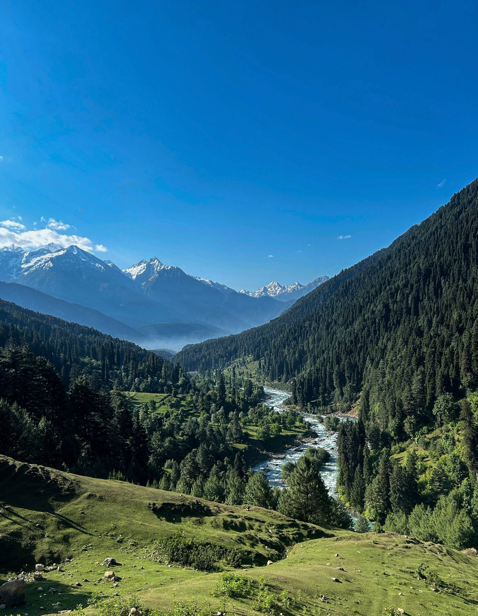 Lidder Valley and Himalayan scenery in Pahalgam Kashmir