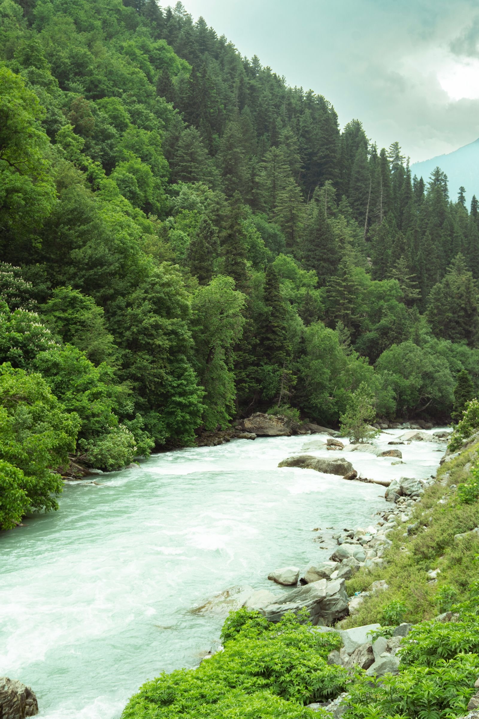 Green valley and river surrounded by mountains in Sonamarg