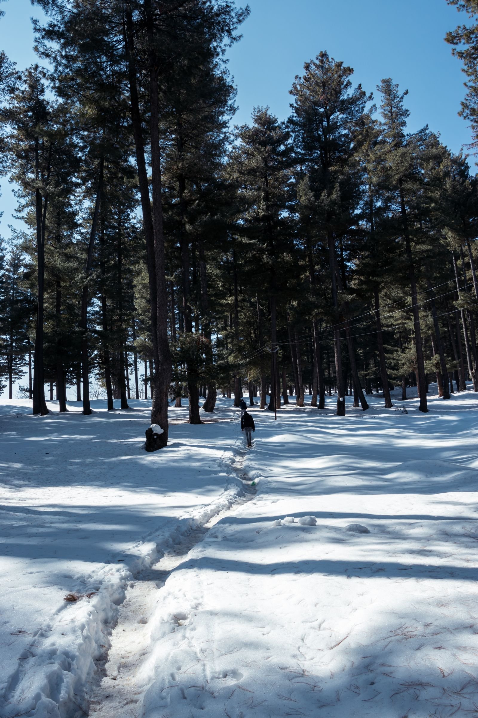 Peaceful mountain and forest landscape in Yusmarg Kashmir